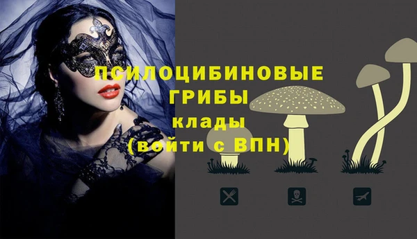 spice Верея