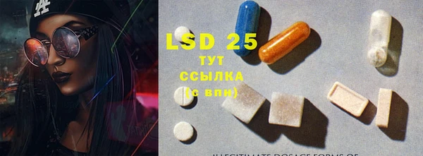 spice Верея