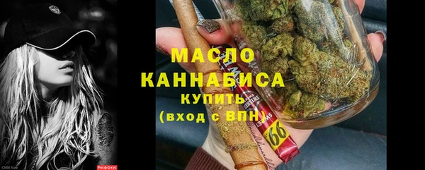 дживик Слюдянка