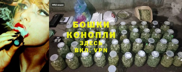 spice Верея