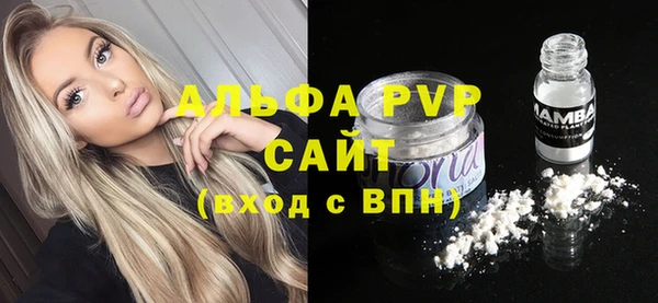 spice Верея
