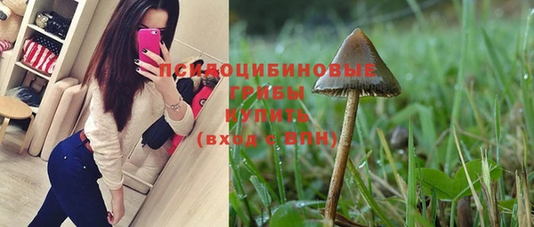 ПСИЛОЦИБИНОВЫЕ ГРИБЫ Верхнеуральск
