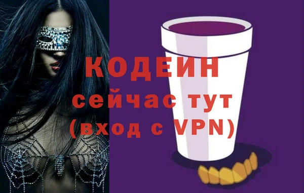 спиды Бородино