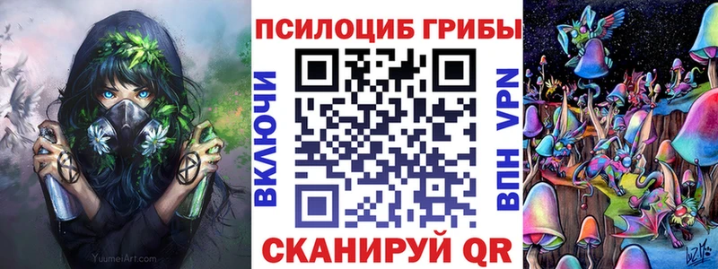 купить закладку  Новоржев  Псилоцибиновые грибы Psilocybine cubensis 