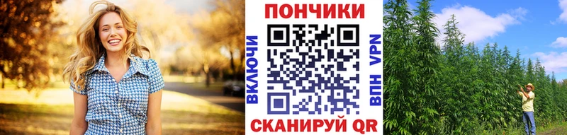Марихуана марихуана  продажа наркотиков  Новоржев 